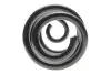 Пружина (задняя) Nissan Qashqai 1.6/2.0/1.5-2.0 dCi 06-14 (SUV) LESJOFORS 4262065 (фото 4)