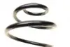 Пружина (задняя) Opel Corsa C 1.0-1.4/1.3CDTI/1.7CDTI/DI/DTI 00-09 (накл. зад.ч) (с пост.d) LESJOFORS 4263446 (фото 2)