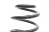 Пружина (задня) Renault Megane II 1.4-2.0/1.5dCi/1.9dCi/2.0dCi 03-11 (універсал) LESJOFORS 4272922 (фото 2)