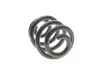 Пружина (задняя) VW T5/T6/Multivan V/VI 1.9-2.0TDI/2.5TDI/3.2 V6 03- (фургон/с борт.пл)(с пост.диам) LESJOFORS 4295050 (фото 7)