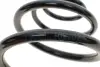 Пружина (задня) Opel Astra G 1.2-2.2 16V/1.7-2.0 CDTI/DI 98-09 (унів./фургон) (з не пост.діам.) LESJOFORS 5263438 (фото 2)