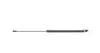 Амортизатор кришки багажника Toyota Land Cruiser 100 98-07 (всюдихід)/Lexus LX 470 98-08 (L) (SUV) LESJOFORS 8192579 (фото 6)