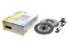 Комплект зчеплення Renault Megane/Scenic II 2.0 dCi 05-09 (d=250mm) (+вижимний) LuK 625 3056 33