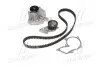 Комплект ГРМ + помпа Ford Focus 98-12/Fiesta 1.4/1.6 96-08 (117x22)(помпа P235) MAGNETI MARELLI 132011160041 (фото 1)