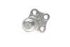 Опора кульова (передня/знизу) Renault Megane III/Scenic III 08-/Fluence 10- (SSP1956) MAGNETI MARELLI 301191619560 (фото 3)