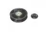 Ролик модуля натяжителя ремня MPQ0020 (MagnetiMarelli) MagnetiMarelli MAGNETI MARELLI 331316170020 (фото 1)