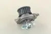 Водяной насос (кор.код. 81369) MagnetiMarelli MAGNETI MARELLI 350981369000 (фото 2)