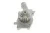 Насос воды Ford Fiesta/Escort 1.4/1.6 86- (WPQ0142) MAGNETI MARELLI 352316170142 (фото 4)