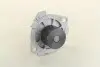 Водяной насос (кор.код. WPQ0295) MagnetiMarelli MAGNETI MARELLI 352316170295 (фото 4)