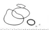 Насос воды Opel Vectra 2.0-2.2 00- (WPQ0385) MAGNETI MARELLI 352316170385 (фото 2)
