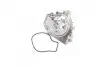 Водяной насос (кор.код. WPQ0460) MagnetiMarelli MAGNETI MARELLI 352316170460 (фото 4)