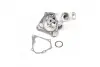 Водяний насос (кор.код. WPQ0545) MagnetiMarelli MAGNETI MARELLI 352316170545 (фото 4)