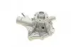 Насос воды MB C (W203)/E (W210)/CLK (R170) (M111) 2.0/2.3/3.2 00- (WPQ0684) MAGNETI MARELLI 352316170684 (фото 7)