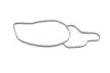 Насос воды MB W203/S203/CL203/W204/S204/W211/S211/CL203 200/220/270CDI 2.2/2.7CDI 02-11 MAGNETI MARELLI 352316170690 (фото 7)