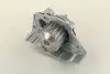 Водяной насос (кор.код. WPQ0889) MagnetiMarelli MAGNETI MARELLI 352316170889 (фото 1)