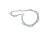 Насос воды Renault Kangoo/Master/Laguna/Megane/Opel Movano 1.8/1.9dCi/dTi/D/2.0 95-03 (WPQ0951) MAGNETI MARELLI 352316170951 (фото 12)