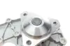 Насос воды Renault Kangoo/Master/Laguna/Megane/Opel Movano 1.8/1.9dCi/dTi/D/2.0 95-03 (WPQ0951) MAGNETI MARELLI 352316170951 (фото 7)