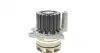 Помпа води Skoda Octavia/VW Golf/Passat 1.9 TDI 96-05 (WPQ1170) MAGNETI MARELLI 352316171170 (фото 3)