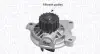 Водяний насос (кор.код. WPQ1172) MagnetiMarelli MAGNETI MARELLI 352316171172 (фото 1)