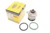 Помпа води VW T5/Multivan V 2.5TDI 03-09/Touareg 2.5 R5 TDI 03-10 MAGNETI MARELLI 352316171197 (фото 1)
