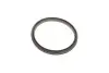 Помпа води VW T5/Multivan V 2.5TDI 03-09/Touareg 2.5 R5 TDI 03-10 MAGNETI MARELLI 352316171197 (фото 6)