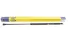Амортизатор крышки багажника Fiat Panda 03- MAGNETI MARELLI 430719010000 (фото 2)
