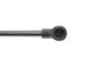 Амортизатор крышки багажника Fiat Panda 03- MAGNETI MARELLI 430719010000 (фото 3)