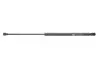 Амортизатор кришки багажника VW Golf 97-06 (GS0260) MAGNETI MARELLI 430719026000 (фото 1)