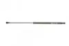 Амортизатор кришки багажника Audi A3 03-12 (Хетчбек) (GS0460) MAGNETI MARELLI 430719046000 (фото 5)