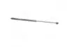 Амортизатор капота MERCEDES-BENZ (кор.код. GS0569) MAGNETI MARELLI 430719056900 (фото 1)