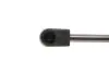Амортизатор кришки багажника Audi A3 04-13 (хетчбек) MAGNETI MARELLI 430719081500 (фото 3)