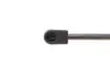 Амортизатор капота Renault Megane III 08- (GS1160) MAGNETI MARELLI 430719116000 (фото 4)