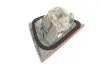 Фонарь задний BMW 3 (E90) 04-11 (L) M47/M57/N43/N45/N46/N47/N52/N53/N54/N57 MAGNETI MARELLI 714021840701 (фото 4)