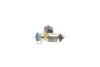 Форсунка бензиновая Renault Kangoo 1.6 16V 08- (IWP217) MAGNETI MARELLI 805010089002 (фото 6)