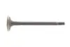 Клапан (впуск) MB Sprinter OM646 06- (28,8x7x104,1) MAHLE / KNECHT 001 VE 31326 000 (фото 1)