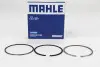 Кольца поршневые Fiat Doblo 1.9JTD 01- (82.00mm/STD) (2-2-2) MAHLE / KNECHT 009 81 N0 (фото 1)