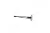 Клапан впуск. Astra/Corsa/Vectra/Zafira 1.4-1.6 i 97- MAHLE / KNECHT 011 VE 30457 000 (фото 3)