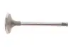 Клапан (впуск) VW Caddy II/T4 1.9D 92-04 (36x7x95.5) MAHLE / KNECHT 029 VE 30900 000 (фото 1)