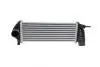 Радіатор інтеркулера Renault Kangoo 1.5 dCi 08- MAHLE / KNECHT CI 243 000P (фото 5)