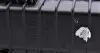Радіатор охолодження MAHLE MAHLE / KNECHT CR 1705 000P (фото 9)