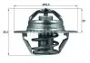 Термостат Citroen Jumper 2.0 94-02/Peugeot Partner 1.1-1.4 96-15/Renault Kangoo 1.9 TDI 00- (88 °C) MAHLE / KNECHT TX 88 88D (фото 1)