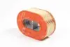 Фильтр воздушный Hatz -FILTER MANN C25124 (фото 1)