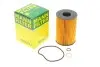 Фільтр оливи двигуна BMW 5, 7, X5 5.0-6.0i 08- -FILTER MANN HU8007Z (фото 1)
