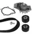 Комплект ГРМ + помпа Citroen Berlingo/Jumpy 2.0HDI, (DW10TD) Metelli 30-0747-1 (фото 2)
