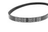 Ремінь генератора Fiat Bravo 1.4 95-01 (4PK750) MEYLE 050 004 0750 (фото 2)