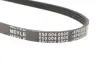 Ремінь генератора Honda Civic VI/Nissan Primera/Citroen Berlingo 1.4-1.6 16V 94-05 (4PK800) MEYLE 050 004 0800 (фото 4)