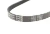 Ремінь генератора Honda Civic VI/Nissan Primera/Citroen Berlingo 1.4-1.6 16V 94-05 (4PK800) MEYLE 050 004 0800 (фото 5)