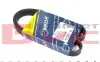 Ремень генератора Peugeot Partner 1.1/1.4 96- (5PK890) MEYLE 050 005 0890 (фото 1)