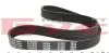 Ремінь генератора Citroen Berlingo/Peugeot Partner 1.6HDI (6PK800) MEYLE 0500060800 (фото 2)