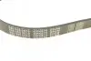 Ремінь генератора Citroen Jumper/Peugeot Boxer 2.0/2.2HDi 04- (-AC)/Opel Movano 2.5D MEYLE 050 006 0875 (фото 3)